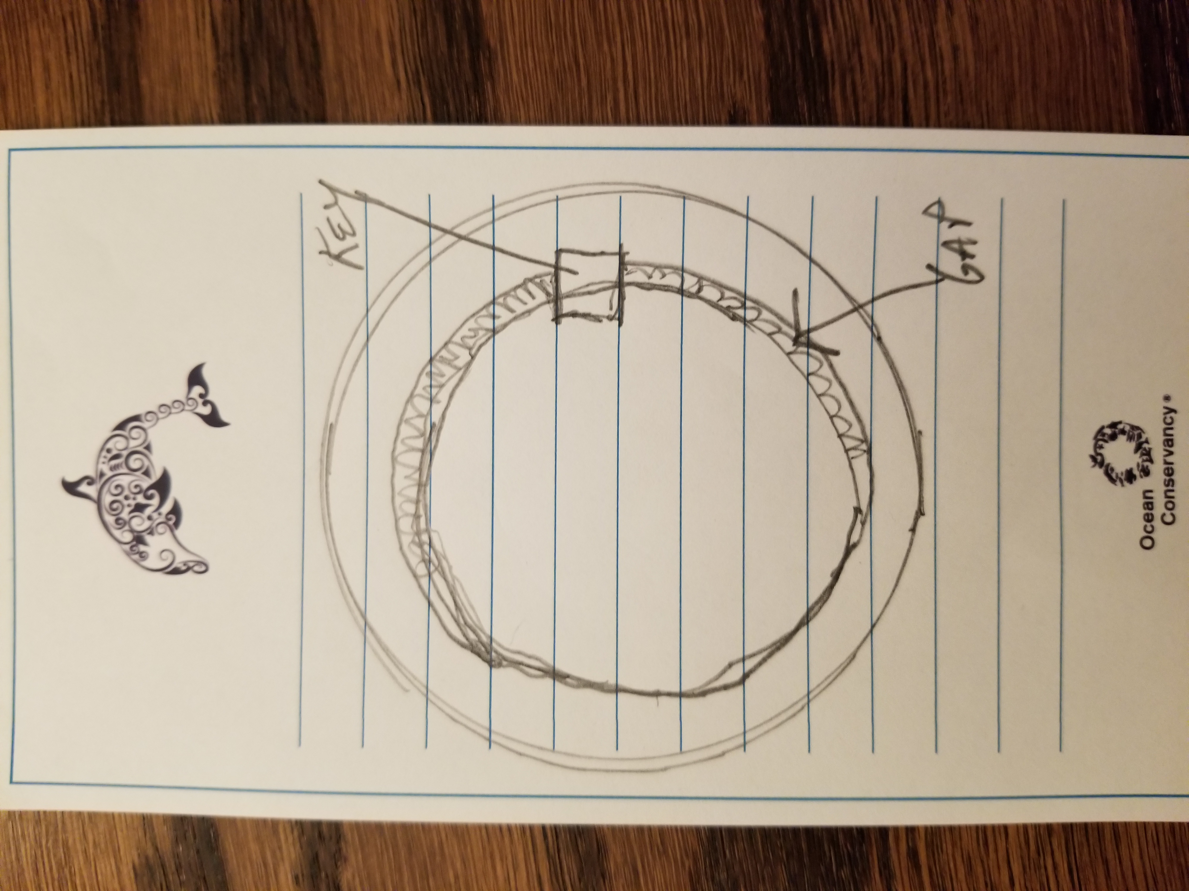 20220309_181803.jpg