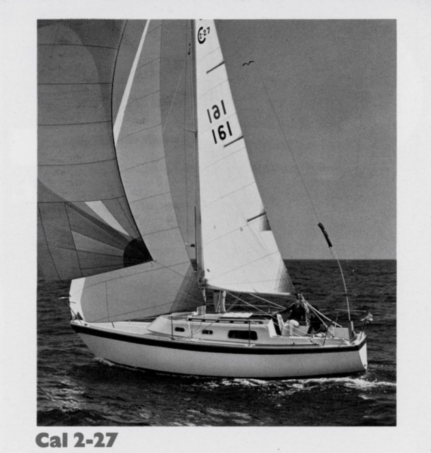 calbbb227b.jpg