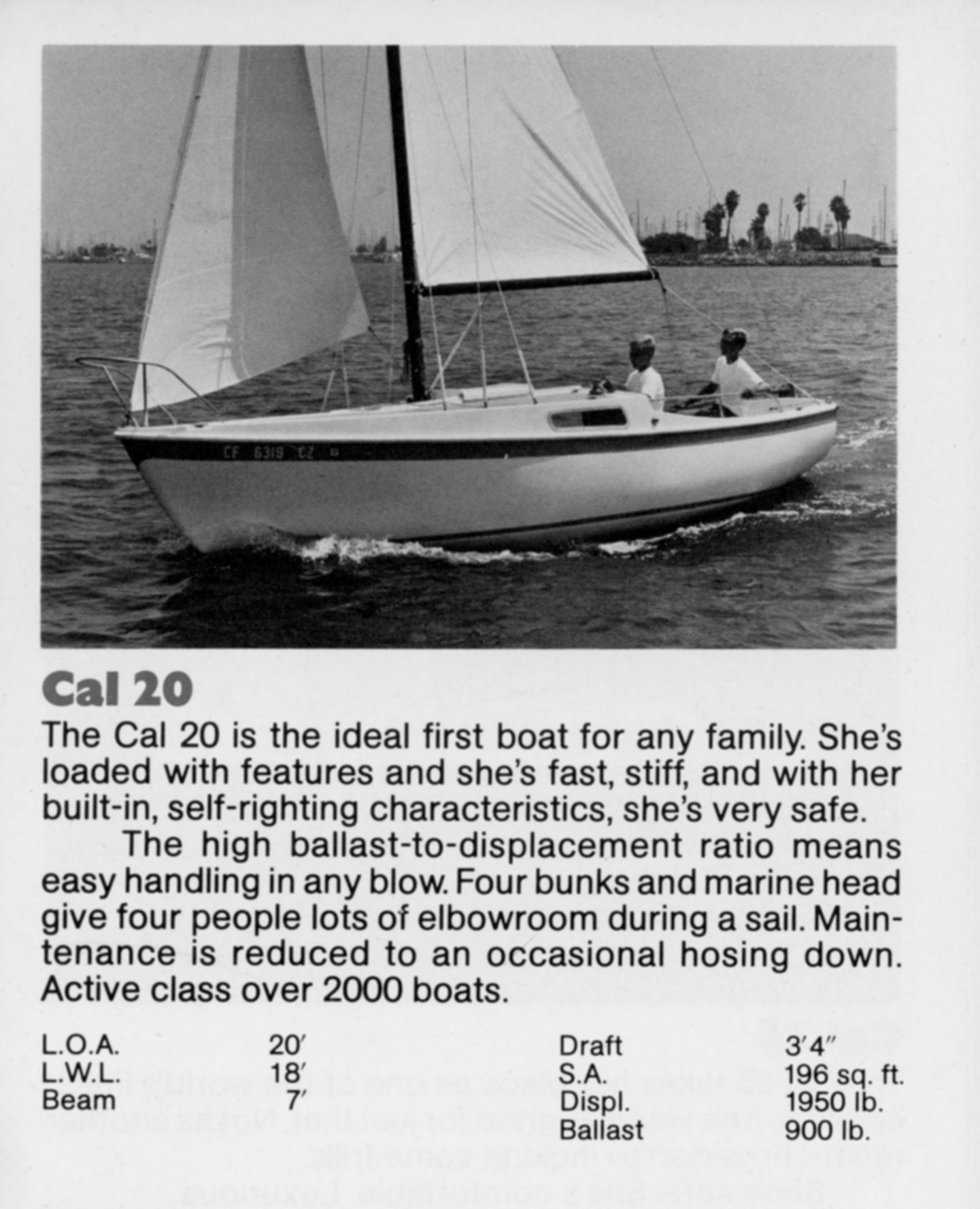 calbbb20.jpg