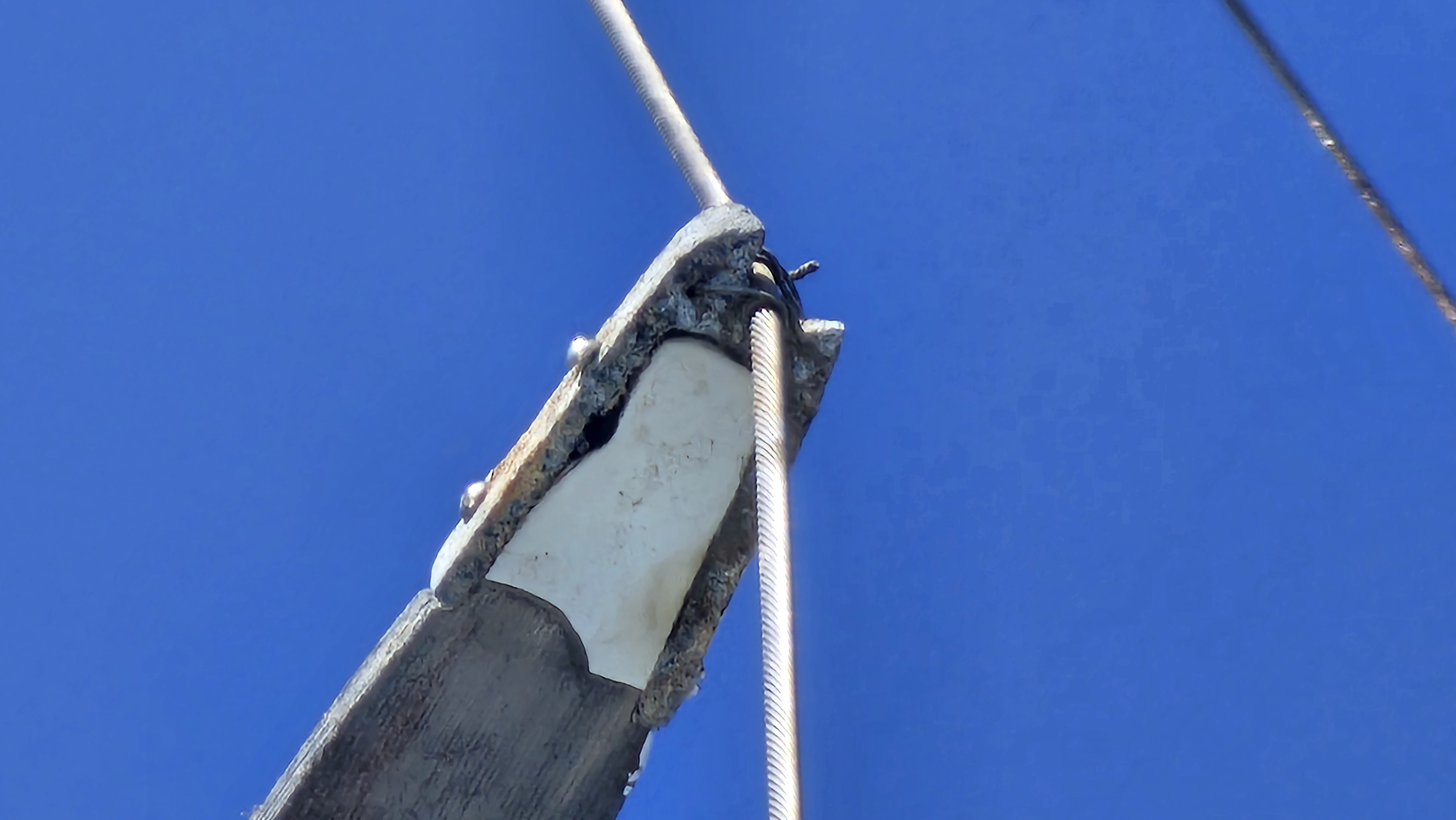 20250317_115045.jpg