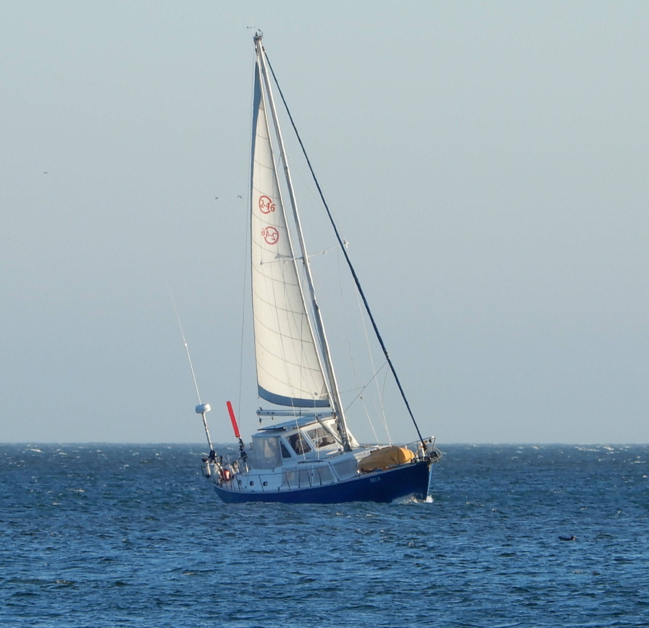 DSCN5485.JPG