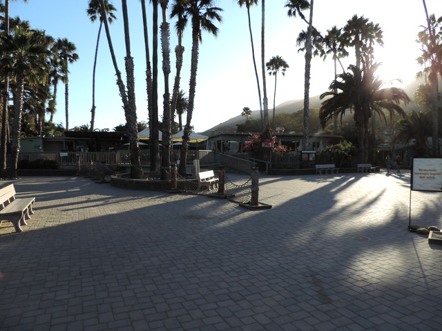 DSCN5175.JPG