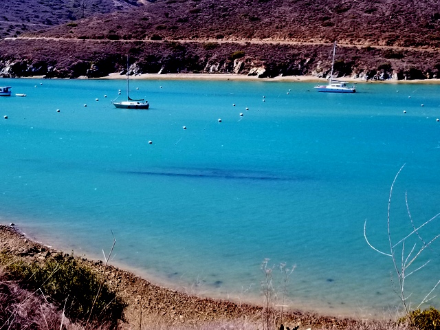 20210921_150804.jpg